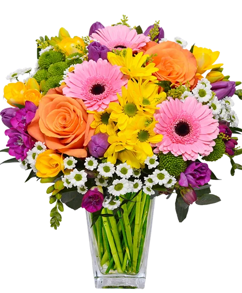 Bouquet di gerbere