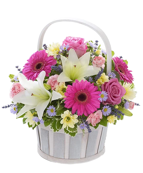 Cesto di lilium