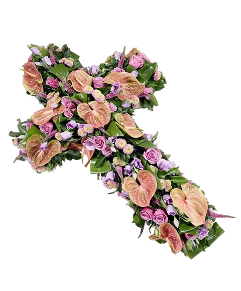 Croce toni